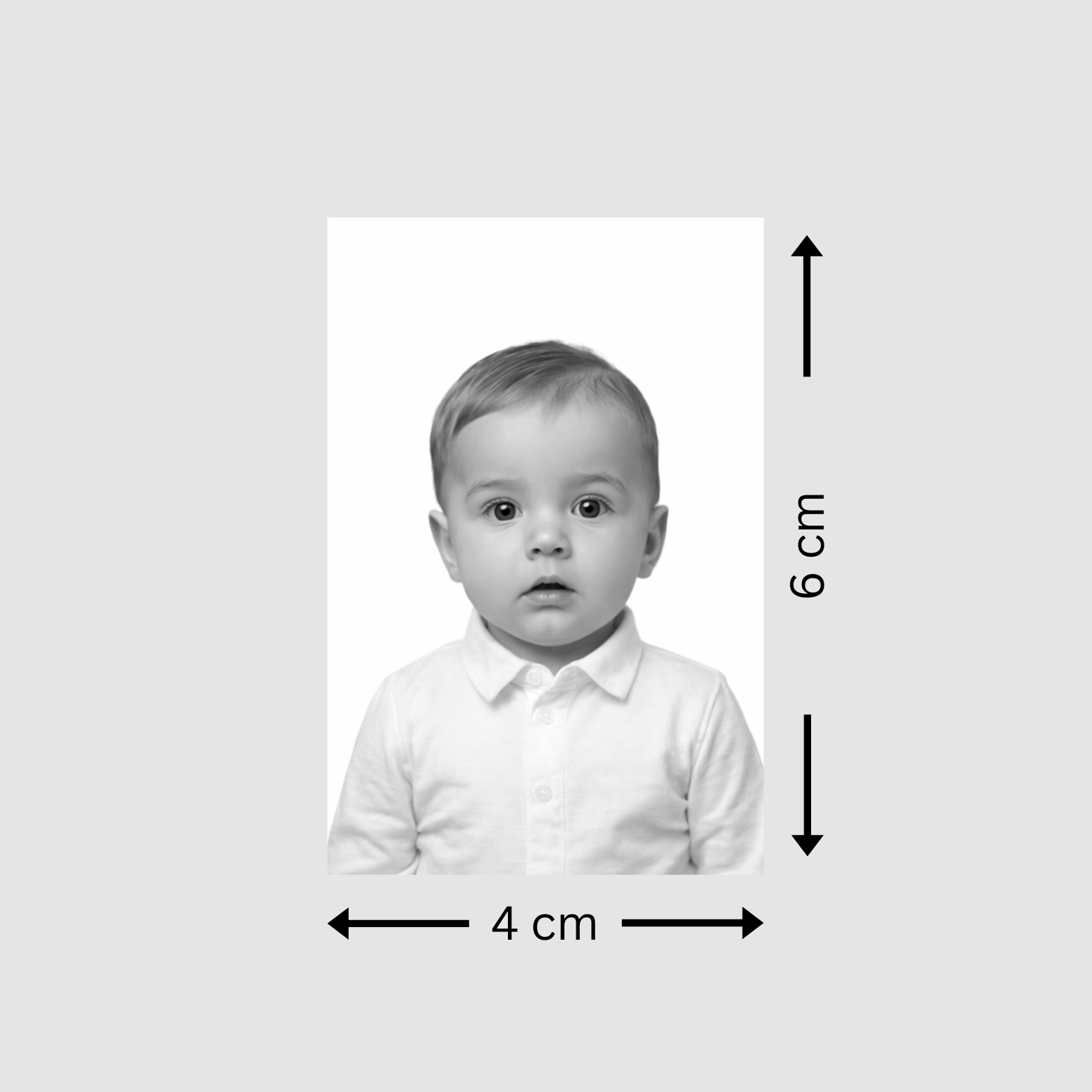 Lietuvos Respublikos pasui/Asmens tapatybės kortelei