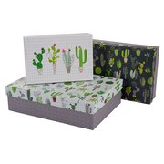 Dėžučių rinkinys Goldbuch Cactus 85225 3 vnt.
